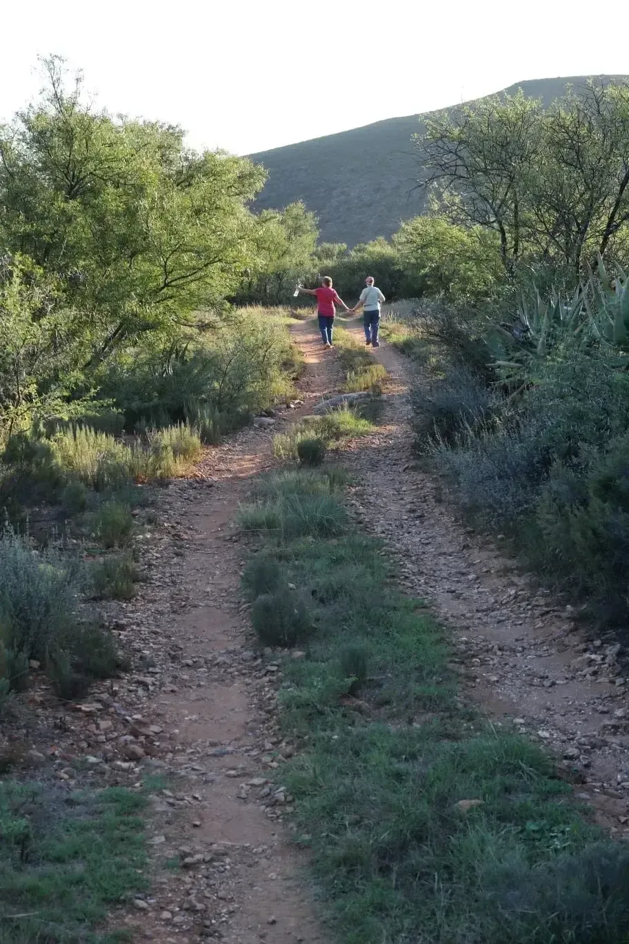 Hiking