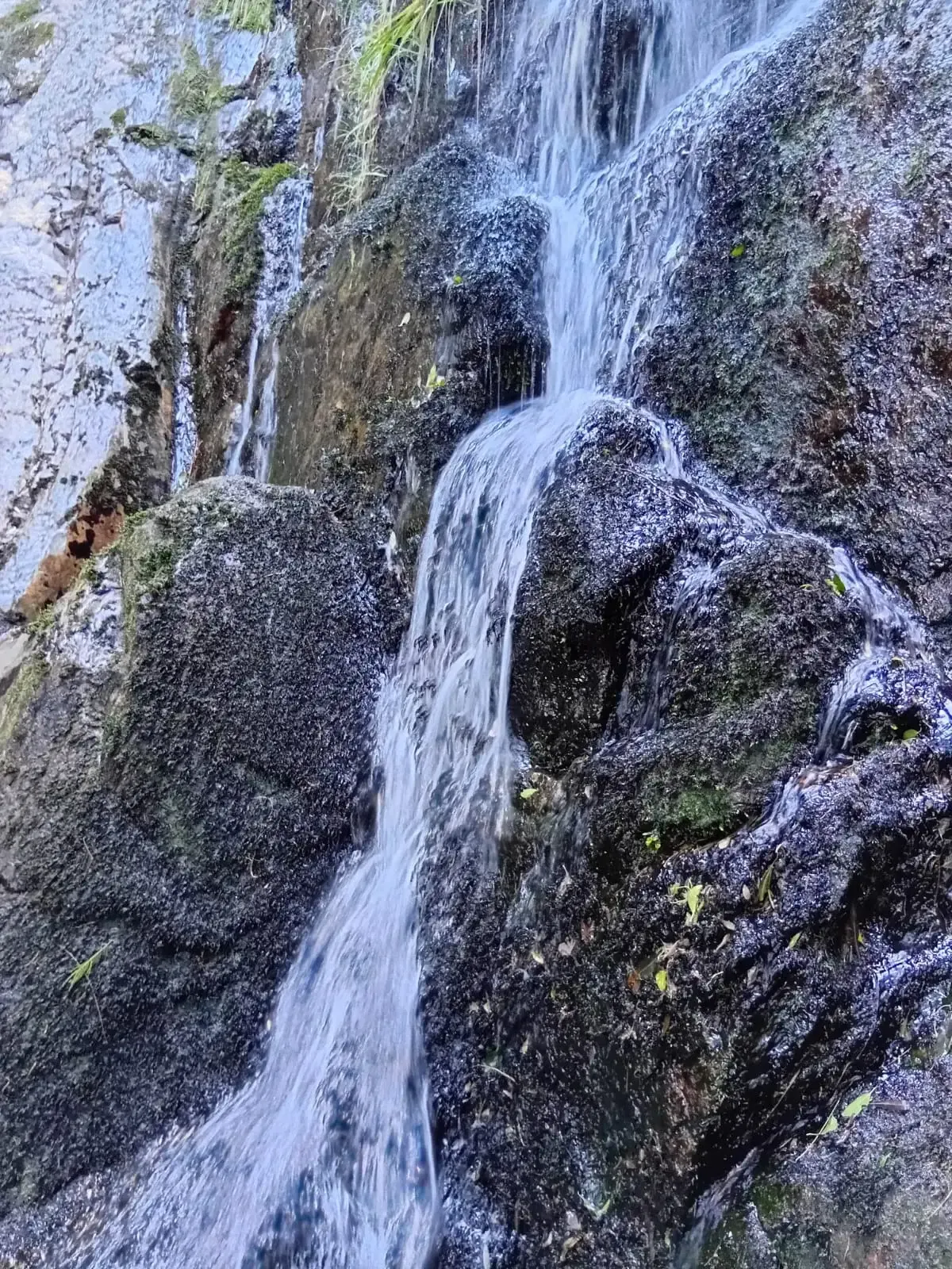 Swartberg Wilds social highlight 9